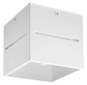 Plafoniera LOBO 1xG9/40W/230V bianco