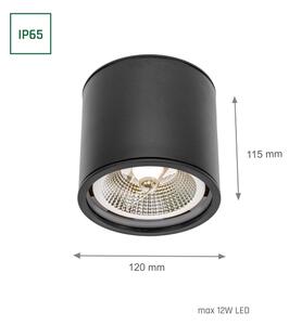 Luce Spot da bagno CHLOE AR111 1xGU10/12W/230V IP65 arrotondato nero