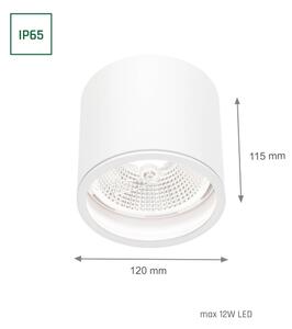 Luce Spot da bagno CHLOE AR111 1xGU10/12W/230V IP65 arrotondato bianco