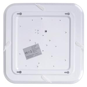 Plafoniera LED dimmerabile PALERMO LED/40W/230V