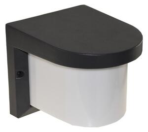 Applique da esterno PETUNIA 1xE27/60W/230V IP44 antracite