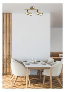 Faretto COLLY 2xGU10/15W/230V oro