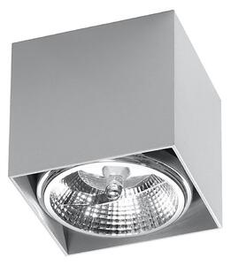 Luce Spot BLAKE 1xGU10/40W/230V