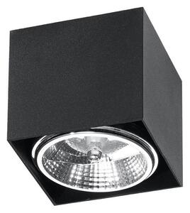 Luce Spot BLAKE 1xGU10/40W/230V