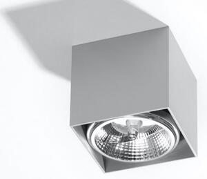 Luce Spot BLAKE 1xGU10/40W/230V