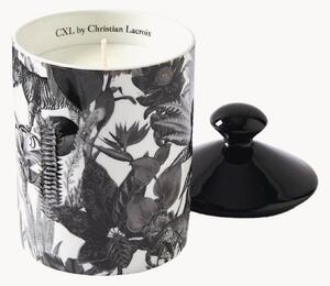 Candela profumata Zanzibar Black (pepe rosa)