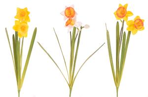 3 Narciso con 2 Fiori Artificiali Altezza 48 cm Multicolore