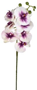 3 Phalaenopsis Artificiali con 7 Fiori Altezza 96 cm
