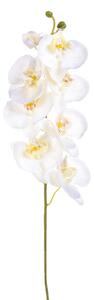 6 Phalaenopsis Artificiali con 8 Fiori Altezza 65 cm Bianco