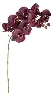 Phalaenopsis Artificiali Real Touch Artificiale con 9 fiori Altezza 91 cm
