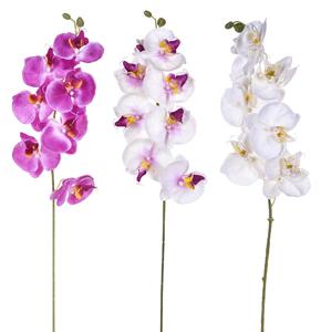 6 Phalaenopsis Artificiali con 8 Fiori Altezza 65 cm Multicolore