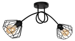 Lampadario a plafone CEED 2xE27/60W/230V