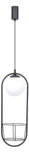 Zuma Line 5003 - Lampadario a sospensione con filo PLANT 1xE14/40W/230V nero