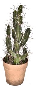 Pianta di Cactus Artificiale con Vaso Altezza 43 cm Verde