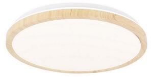 Plafoniera LED GANDAVA LED/24W/230V