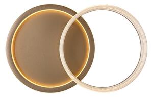Rabalux 71472 - Plafoniera LED dimmerabile RIVONA LED/22W/230V 3000-6500K 53,5x35 cm+telecomando