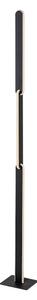 Rabalux 74195 - Lampada da terra dimmerabile a LED SINDRI LED/33W/230V 3000/4000K nero