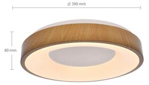 Brilagi - Lampada LED da soffitto dimmerabile DORIA LED/48W/230V 3000-6500K + DO