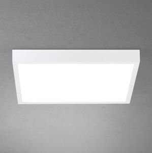 Orion - Plafoniera LED dimmerabile DISC LED/30W/230V 2700/3000/4000K 39x39 cm bianca