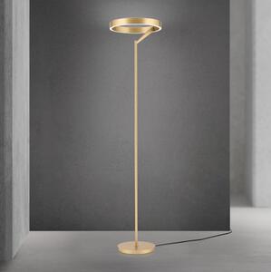 Orion - Lampada da terra dimmerabile KOLK LED/40W/230V 2700/4000K dorata