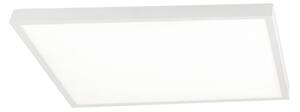 Orion - Plafoniera LED dimmerabile DISC LED/46W/230V 2700/3000/4000K 59x59 cm bianca