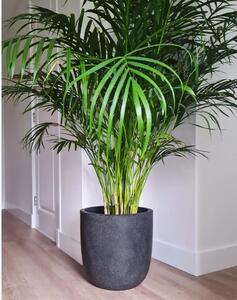 Capi Fioriera Rotonda Waste Smooth 35x34 cm Grigia
