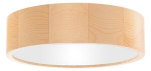 Plafoniera da bagno CLEO 2xE27/24W/230V IP54 diametro 27,5 cm pino