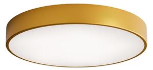 Plafoniera LED CLEO LED/69W/230V 4000K diametro 60 cm oro