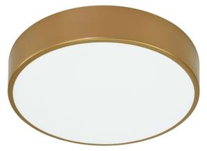 Brilagi - Plafoniera da bagno CLARE 2xE27/24W/230V diametro 40 cm IP54 oro