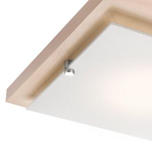 Lampada da soffitto 1xE27/60W/230V