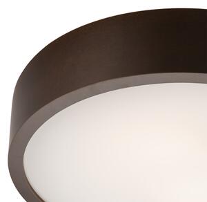 Lampada da soffitto 2xE27/60W/230V