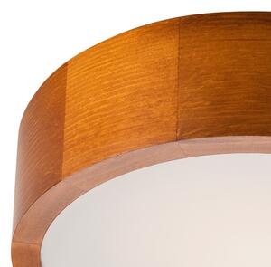 Lampada da soffitto 1xE27/60W/230V