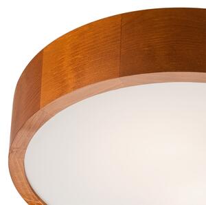 Lampada da soffitto 2xE27/60W/230V
