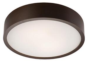 Lampada da soffitto 2xE27/60W/230V