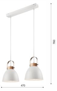 Lampadario a cavo DANIELLE 2xE27/60W/230V
