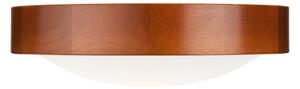 Lampada da soffitto 1xE27/60W/230V
