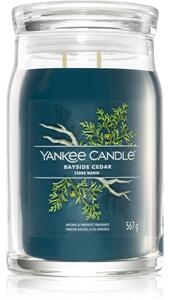Yankee Candle Bayside Cedar candela profumata I Signature 567 g