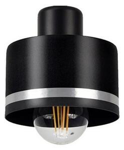Lampadario a plafone BODO SILVER 3xE27/60W/230V