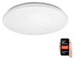 Rabalux 71035 - Plafoniera LED RGB dimmerabile CERRIGEN LED/24W/230V