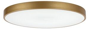Rabalux 71038 -LED Plafoniera dimmerabile TESIA LED/60W/230V 3000-6000K+telecomando