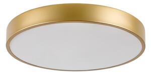 Rabalux 71037 - Plafoniera LED TESIA LED/36W/230V 3000K