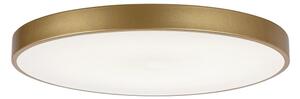 Rabalux 71038 -LED Plafoniera dimmerabile TESIA LED/60W/230V 3000-6000K+telecomando