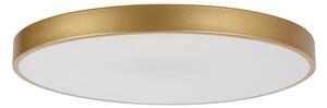 Rabalux 71038 -LED Plafoniera dimmerabile TESIA LED/60W/230V 3000-6000K+telecomando