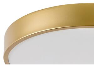 Rabalux 71037 - Plafoniera LED TESIA LED/36W/230V 3000K