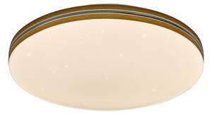 Rabalux 71177 - Plafoniera LED OSCAR LED/18W/230V 3000K diametro 34 cm