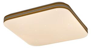 Rabalux 71178 - Plafoniera LED OSCAR LED/18W/230V 3000K 33x33 cm