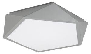 Rabalux 71251 - Plafoniera LED RAFFA LED/30W/230V 3000K