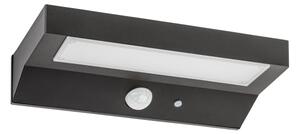 Rabalux 77023 - Luce solare a LED con sensore KORANA LED/6W/3,7V IP44