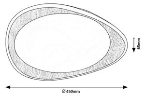 Rabalux 2427 - Plafoniera da soffitto TAMINO LED/24W/230V