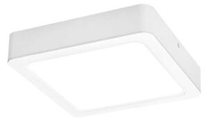 Rabalux 3176 - Plafoniera LED SHAUN LED/24W/230V 22 cm